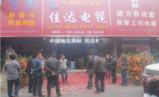 湖南草莓视频二维码下载电线电缆有限公司,草莓视频二维码下载电线电缆,草莓在线免费观看系列,控制电缆,电线电缆企业哪里好
