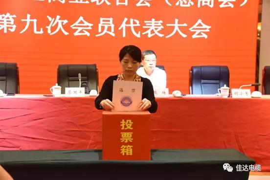 草莓视频二维码下载电缆有限公司,草莓视频二维码下载电缆,湖南草莓视频二维码下载，